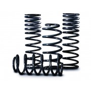  Fiesta ST180 Ecoboost Eibach lowering Springs